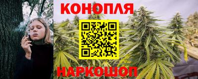 сатива Пушкино
